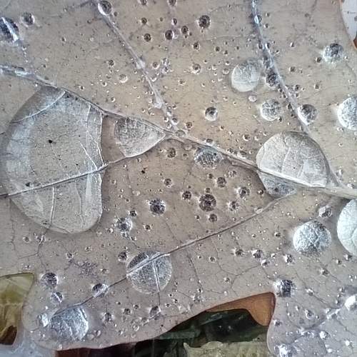 Photo #12743226