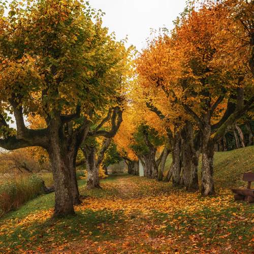 Photo #12743331