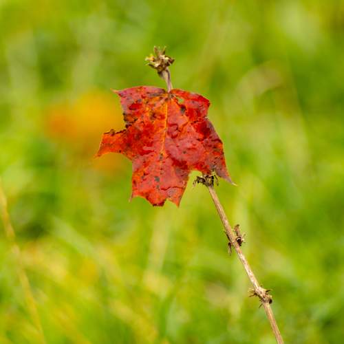 Photo #12743372