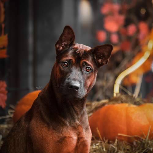 Photo #12743502