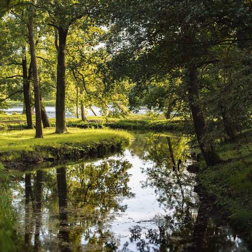 Photo #12743592