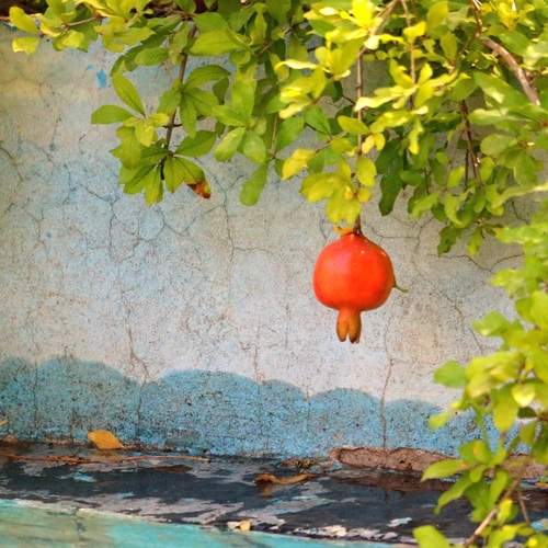 Photo #12743645