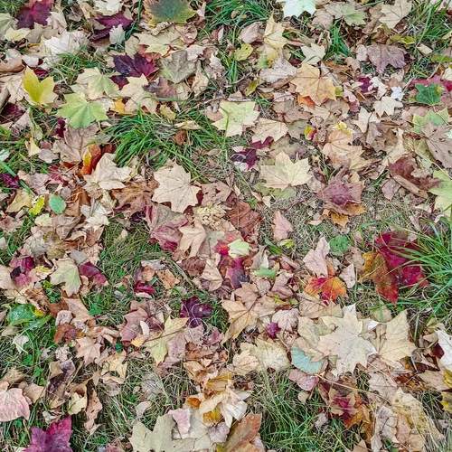 Photo #12743708