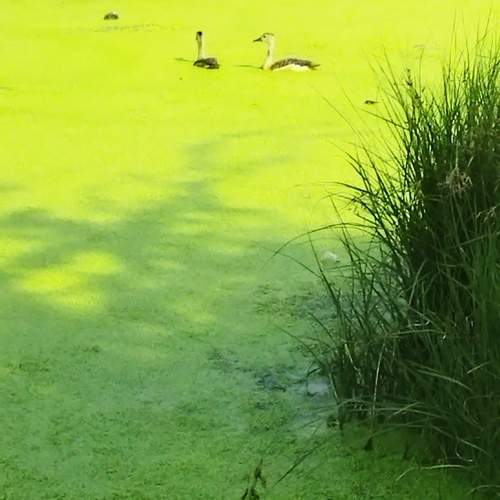 Curiosity in nature with love