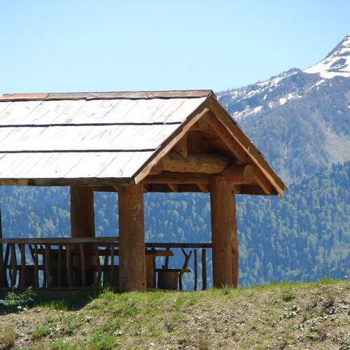 Photo #12743791
