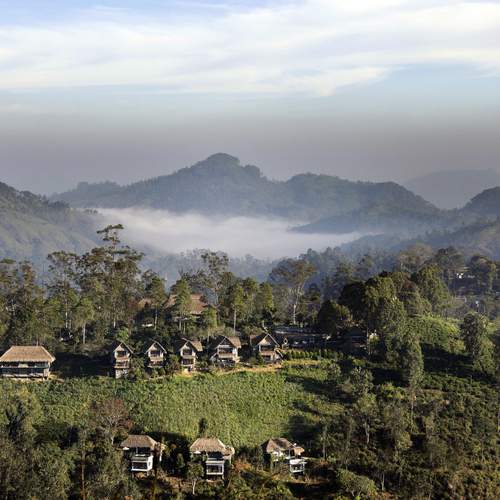 Photo #12743812