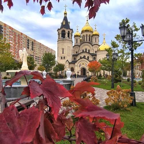 Photo #12743841