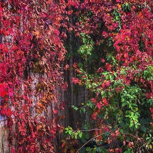 Photo #12743842