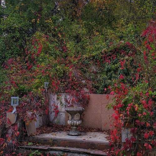 Photo #12743844