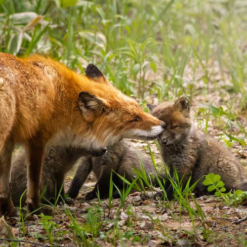 Photo #12744005