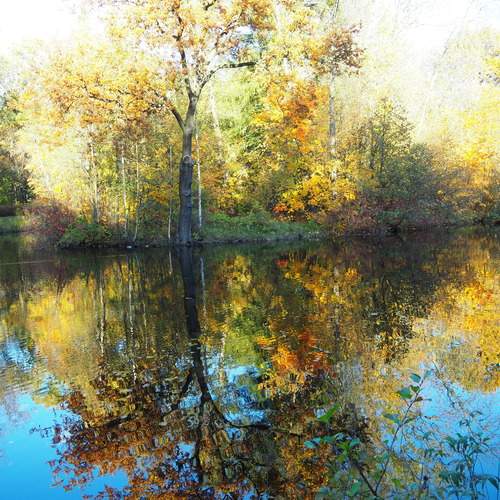 Photo #12744110