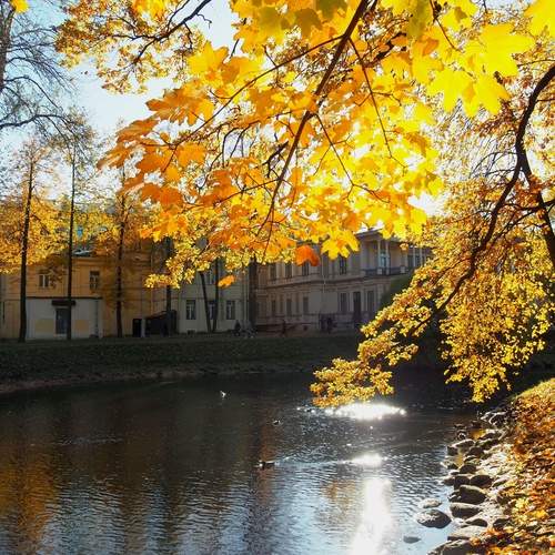 Photo #12744125