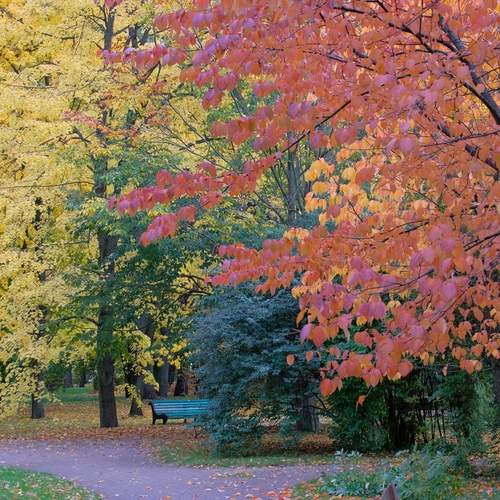 Photo #12744160