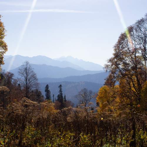 Photo #12744174