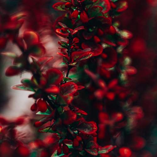 Photo #12744244