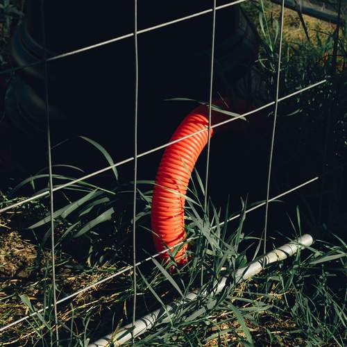Photo #12744293