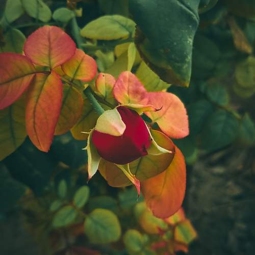 Photo #12744396