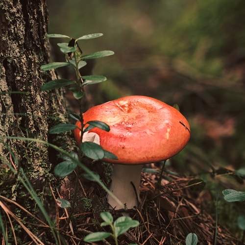 Photo #12744522