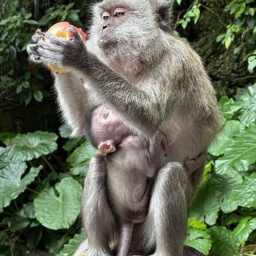 Photo #12744905