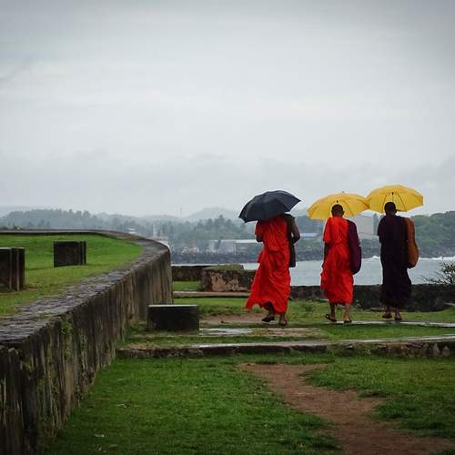 Photo #12745162