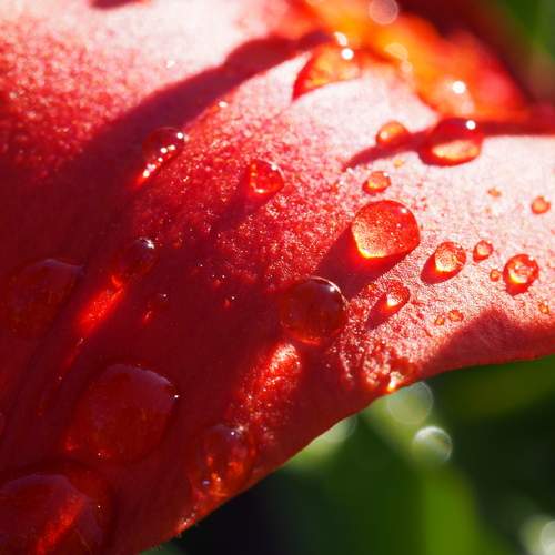 Photo #12745244