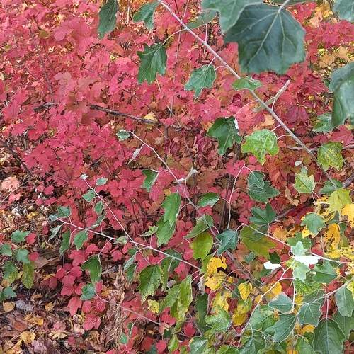 Photo #12745375
