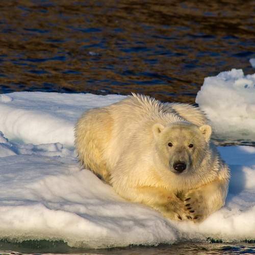 Photo #12745514