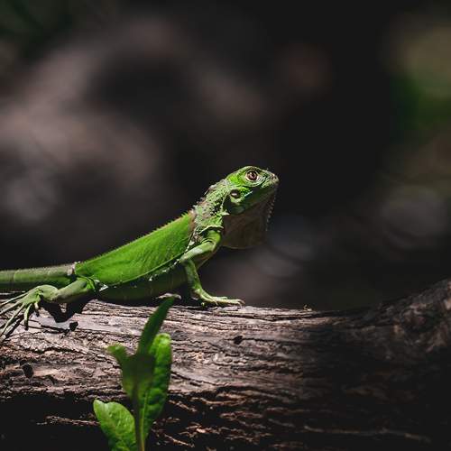 Photo #12745580