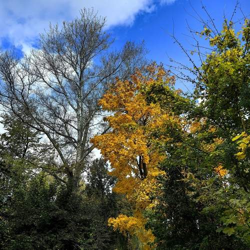 Photo #12745612