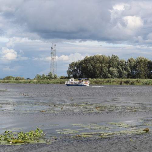 Photo #12745916