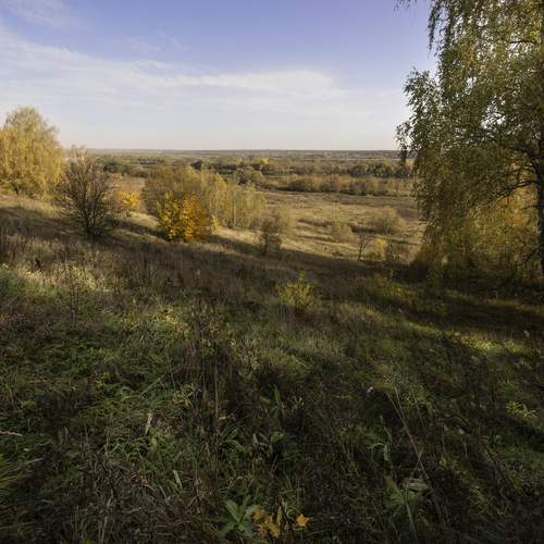 Photo #12746179