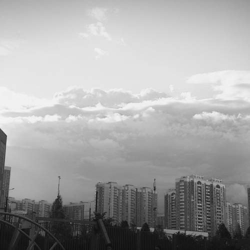Photo #12746244