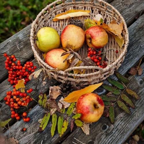 Photo #12746294