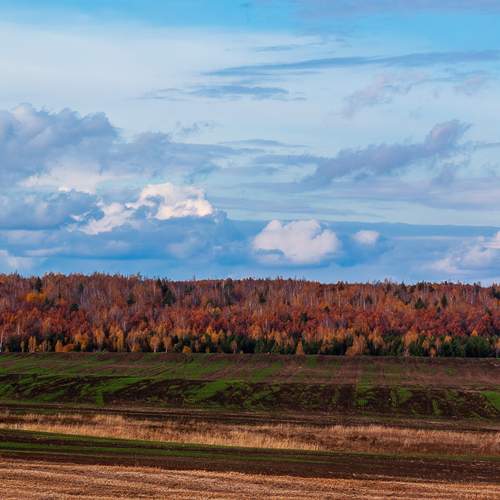 Photo #12746422