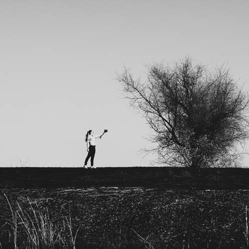 Photo #12746460