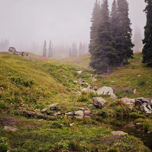 Photo #12746883