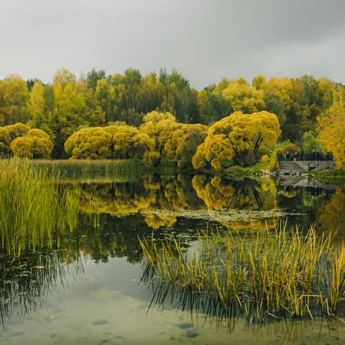 Photo #12747086