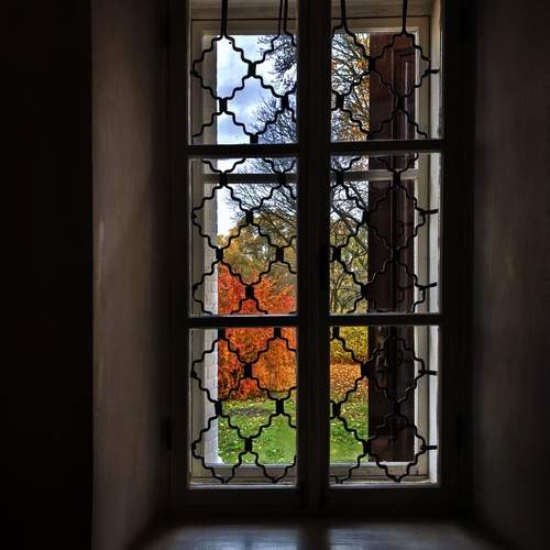 Photo #12747158