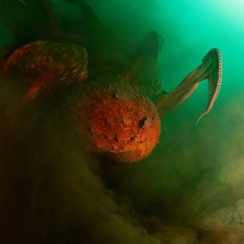 Фотография #12747199