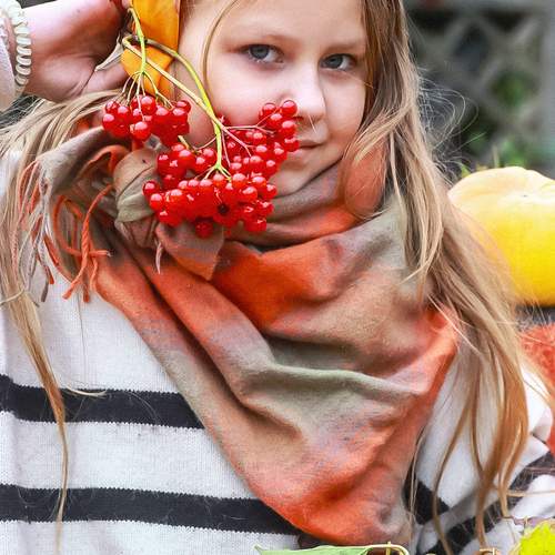 Photo #12747228