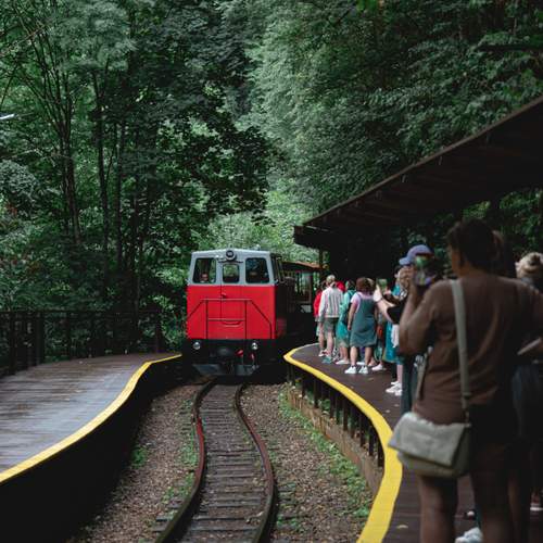 Photo #12747439