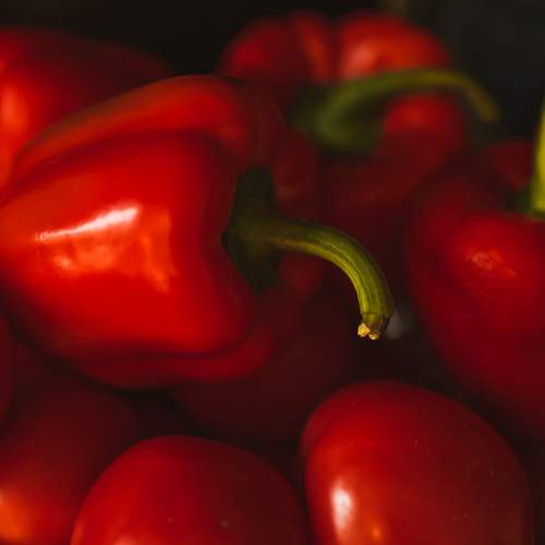 Photo #12747687