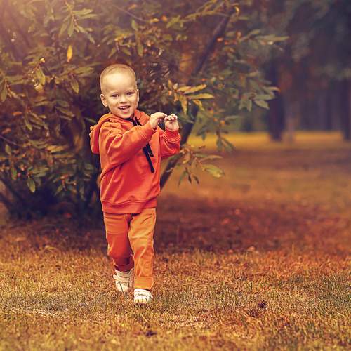 Photo #12747841