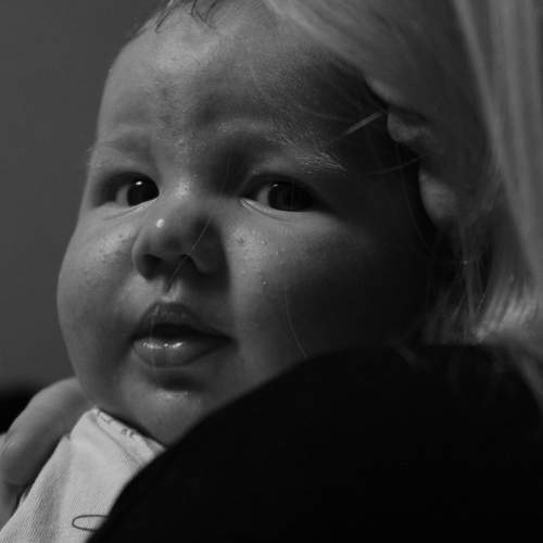 Photo #12747911