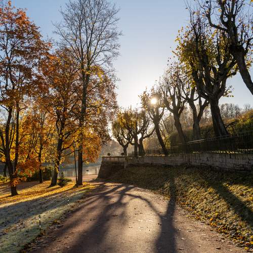 Photo #12747912