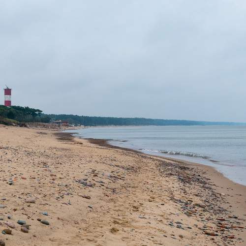 Photo #12748011