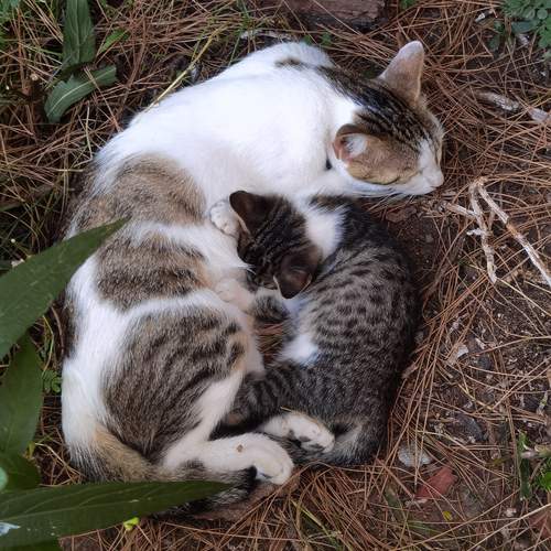 Photo #12748253