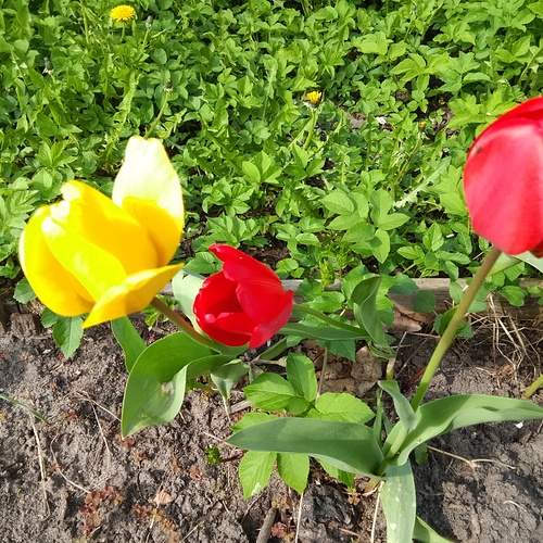 Photo #12748260
