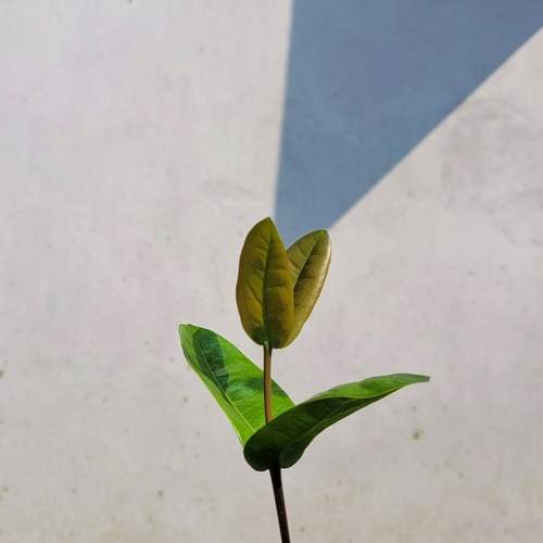 Photo #12748318