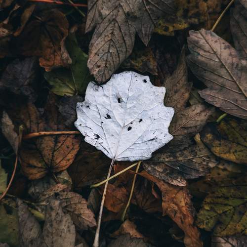 Photo #12748336